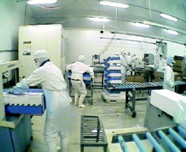 industria salmon (53)  ALIMENTOS MERCADO